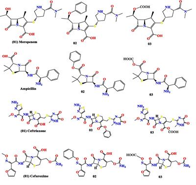 Occurrence and characterization of β-lactamase-producing bacteria in biomedical wastewater and in silico enhancement of antibiotic efficacy